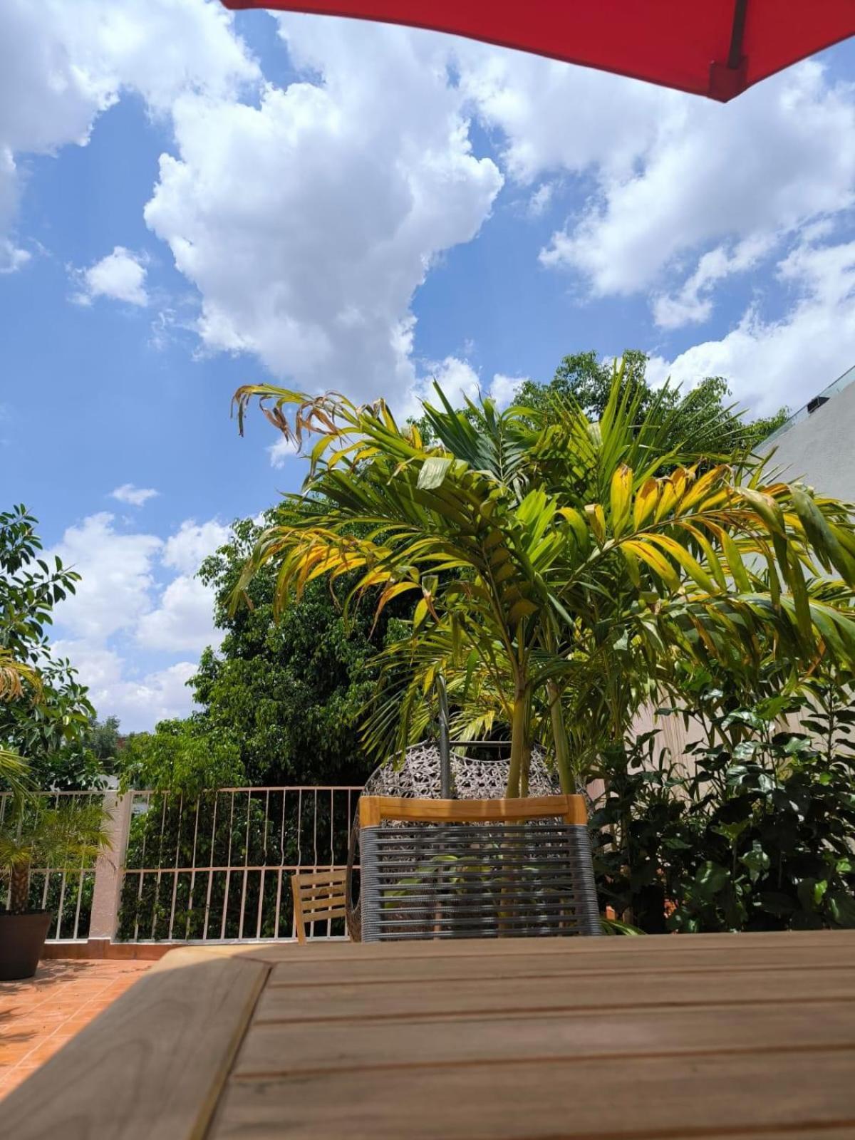 Bed and Breakfast Casa Frida Condesa Мехико Экстерьер фото